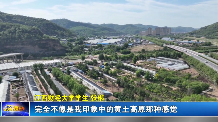 太阳城娱乐城